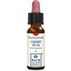 ERBA VITA GROUP SpA CHERRY PLUM ORIGINAL 10ML GTT