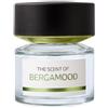Bmw Bergamood Eau De Parfum 100ml