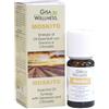 Gisa Wellness MOSKITO Sinergia di Oli Essenziali per Diffusore ad Ultrasuoni (Citronella, Lavanda, Geranio, Menta Piperita, Eucalipto), 100% Puri e Naturali per Aromaterapia