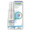 Mylan Froben Raffreddore 0,05% Spray Decongestionante Nasale, 15ml