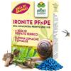 Albagarden - Esca Lumachicida Pronto Uso - Fosfato Ferrico Elimina Lumache e Limacce PFnPE Resistente alla Pioggia - per orto e Giardino - Polvere x 1 kg