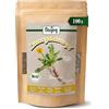 Biojoy BIO Radice di tarassaco, essiccata, tagliata, 100 g
