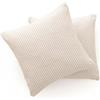 GAMUSI Set 2 Federe per Divano, Federa per Cuscino 45x45 cm - Federe Decorative per Cuscino con Chiusura a Zip a Righe per Interno ed Esterno, Colore Grigio Chiaro