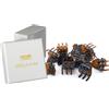 HAARallerliebst 12 fermagli per capelli mollette 2 cm marrone in Bianco Box di capelli Aller Loving
