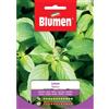 Blumen basilico lemon