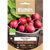 Blumen ravanello rosso saxa 2