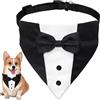 WEITAPYT Collare Smoking Cane, Papillon per Cani Matrimonio, Bandana per Cani Smoking, Cravatta Formale Regolabile per Cane di Piccola, Media E Grande Taglia, Adatta per Matrimoni, Feste di Compleanno/M