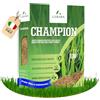 LERAVA CHAMPION semi prato (10m²) - festuca arundinacea di qualità - resistente a siccità e alte temperature - prato verde scuro fine - ideale per giardini e spazi verdi