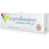 PIETRASANTA PHARMA SpA VEGETALLUMINA ANTID*GEL 50G10%