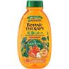 Garnier Whole Blends Kids - Shampoo 2 in 1, 250 ml