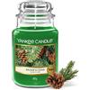 Yankee Candle Candela profumata | Candela in giara grande della Balsamo & Cedro | Candele a lunga combustione: fino a 150 ore | Regali di Natale perfetti per le donne