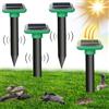 HARIKIKI RepeIIente Ultrasuoni per topi, Dissuasori per Piccioni, RepeIIente SoIare per Talpe, Ultrasuoni Repellente per gatti, Scaccia Talpe Serpenti per Giardino, Talpe Eliminarle (4 Pezzi)