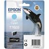 Epson Originale Cartuccia Epson T7605 (C13T76054010) ciano chiaro - U00477
