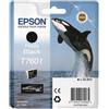 Epson Originale Cartuccia Epson T7601 (C13T76014010) nero fotografico - U00296