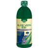 ALOE VERA ESI Succo Mirtillo 1Lt