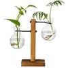 Glasseam Stazione Di Propagazione Con Cremagliera In Legno 2 Lampadina Vaso Di Avocado Vintage Vaso Di Vetro Per Provette Vasi Per Fiori Pianta Di Ghianda Per Casa Tavolo Scrivania Decorazioni Per Interni