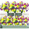 YSUVIN 8 Bouquets fiori finti, Gloire Matinale Realistici Fleurs Pétunia Bouquet Deco Piante Finte da Esterno Intérieur Soggiorno Casa Portico Giardino Balcone E Giardino(Multi)