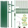 ShengBiLong Bastoncini per Orchidee, 20 Pezzi Supporto per Piante Stabilizzare, Viene Fornito con 40 Moschettoni con 20 Tubi di Srolunga, Sostegno per Piante, Tutori per Piante (120 PCS)