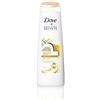 Dove 6 x Dove Shampoo - Restoring Ritual (con olio di cocco) - per capelli danneggiati - 250 ml