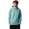 THE NORTH FACE Seasonal Drew Peak Felpa con Cappuccio, Timo, L Uomo