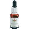 BUSH BIOTHERAPIES Pty Ltd BLACK EYED SUSAN GOCCE 15ML