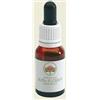 BUSH BIOTHERAPIES Pty Ltd GREY SPIDER FLOWER AUSTR 15ML