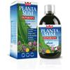 Winter Planta Slim Depuraty 500 ml