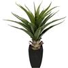 Flair Flower Agave in Vaso