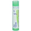 Boiron Asa Foetida 5 Ch 80 Granuli 4 g Contenitore Multidose