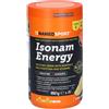 Named Isonam Energy Lemon Flavour 480 g Polvere per soluzione orale