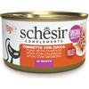 Schesir Tonnetto con Zucca in Brodo 70g Lattina