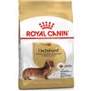 Royal Canin Bassotto (Dachshund) Adult 1,5kg - Crocchette Cane
