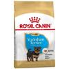 Royal Canin Yorkshire Puppy 1,5kg - Crocchette per Cani