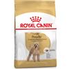 Royal Canin Poodle (Barboncino) Adult 1,5kg