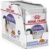 ROYAL CANIN 12x85g Royal Canin Sterilised37 in Gelatina - Umido per Gatti