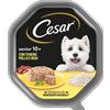 Cesar Senior 10+ Pollo e Riso 150g - Cibo Umido per Cani