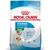 Royal Canin Starter Mother&Babydog Mini 1kg - Crocchette per Cani Cuccioli