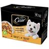 Cesar Selezione In Gelatina 12X100g - Cibo Umido per Cani