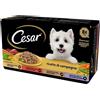 Cesar Ricette di Campagna 8X150g - Cibo Umido per Cani