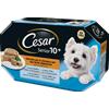 Cesar Senior 10+ 8X150g - Cibo Umido per Cani