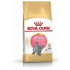 Royal Canin British Shorthair Kitten 2kg - Crocchette per Gatti