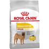 Royal Canin Medium Dermacomfort 3kg - Crocchette per Cani