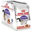 ROYAL CANIN 12x85g Royal Canin Sterilised in Salsa - Cibo Umido per Gatti