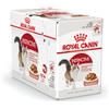 ROYAL CANIN 12x85g Royal Canin Instinctive in Salsa - Cibo Umido per Gatti
