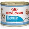 Royal Canin Starter Mousse Mother & Babydog - Lattina 195g