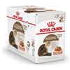 ROYAL CANIN 12x85g Royal Canin Ageing 12+ in Salsa - Umido per Gatti