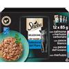 Sheba Selezione del Mare in Salsa 12x85g - Gatti Adulti