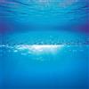Juwel Poster 2 XL - Sfondo per Acquario 150 x 60 cm