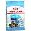 Royal Canin Maxi Starter 15kg - Crocchette per Cani