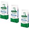 MONGE 3x12kg Offerta - Monge Maxi Adult Pollo Cane